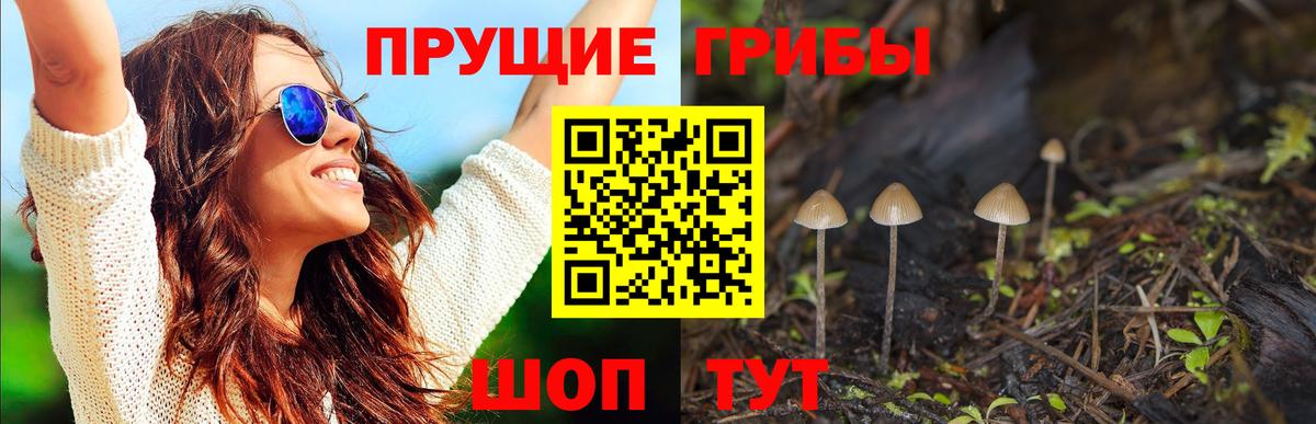 Галлюциногенные грибы MAGIC MUSHROOMS  дарнет шоп  Галлюциногенные грибы Cubensis  Ливны  Вход с VPN 
